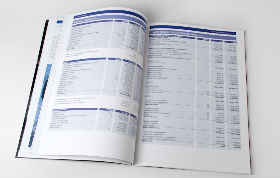 BCVs_banque_cantonale_du_valais_rapport_annuel_2014_6_sion_sierre_martigny_Monthey_Valais_eddy_pelfini_graphic_design_graphisme_graphiste_agence_de_publicite_communication_visuelle